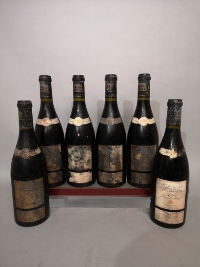 6 bouteilles Château PUECH HAUT 