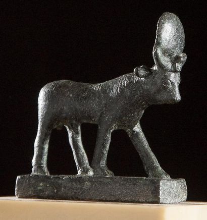 EGYPTE XVIÈME DYNASTIE Taureau Apis. L'animal à l'arrêt est représenté sur une terrasse,...