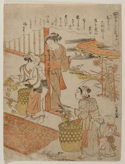 null Shigemasa (1739-1820), chuban représentant des jeunes femmes préparant des feuilles...