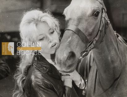 null BRIGITTE BARDOT
Brigitte Bardot in front of a horse.
1958
Silver print of the...