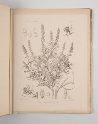 DURAND (Ernest) et G. BARRATTE. DURAND (Ernest) et G. BARRATTE. 
Florae Libycae prodromus...