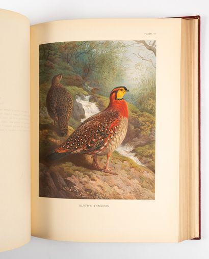 BEEBE (William). BEEBE (William). 
A monograph of the pheasants.
Londres, Witherby,...