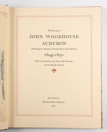 AUDUBON (John-James). AUDUBON (John-James).
The drawings of Audubon illustrating...