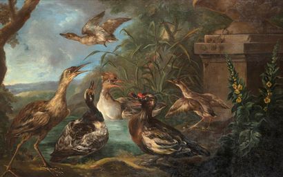 null Angelo Maria CRIVELLI dit Il CRIVELLONE (Milan 1650 - Parme 1730)
Oiseaux dans...