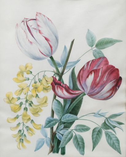 null D’APRÈS PIERRE-JOSEPH REDOUTÉ (1759-1840) 
Bouquets de fleurs 
Paire d'aquarelles...