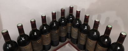 null 12 bouteilles Château SOCIANDO MALLET - Haut Médoc, 1996
Étiquettes tachées...