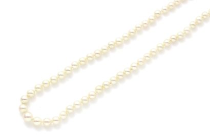 null Collier composé d'une légère chute de perles de culture d'environ 5.7 à 8 mm....