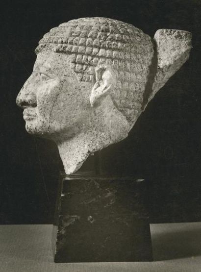 EGYPTE Exceptionnelle tête d'homme coiffé d'une perruque courte à rangs bouclés,...