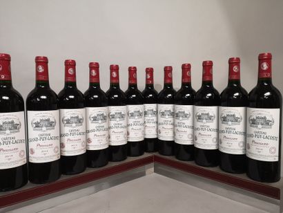 12 bouteilles Château GRAND PUY LACOSTE -3e...