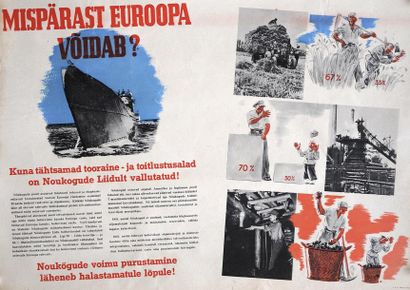 null Mispärast Euroopa Voidab ? - Affiche (60 x 42) - État A