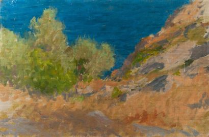 Jean Francis AUBURTIN (1866-1930) Bord de mer Peinture sur toile Non signé 28 x 42,...