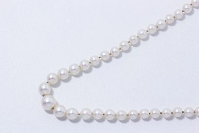  Collier composé d'une chute de perles de culture d'environ 3.3 à 7.1 mm, agrémenté...