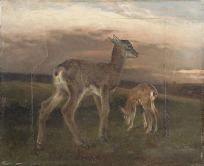Rosa BONHEUR (1822-1899) Les petits faons Huile sur toile. Signée en bas à droite....