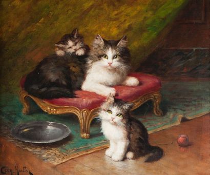 Léon HUBERT (1887-?) Les chatons Huile sur toile Signée en bas à gauche 46 x 55 cm...