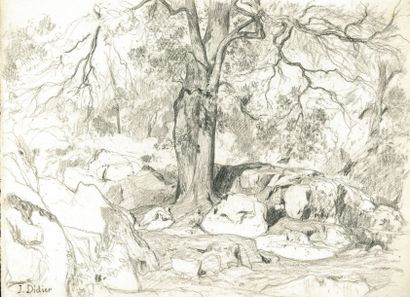 null Jules DIDIER (1831-1892)

Forêt rocheuse

Fusain.

Signé en bas à gauche.

20,5...