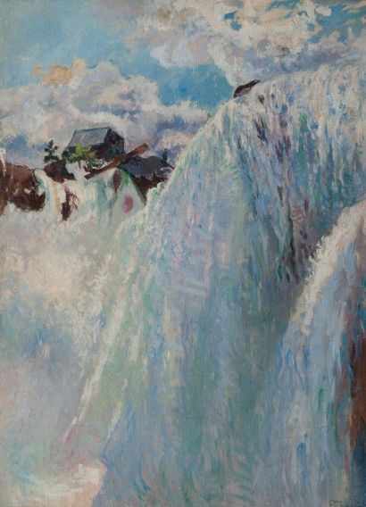null Francis Brook CHADWICK (1850-1943)

Niagara's falls

Huile sur toile, signée...