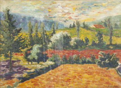 Paul ACKERMAN (1908-1981) Paysage de Provence Toile, signée en bas à droite 43 x...