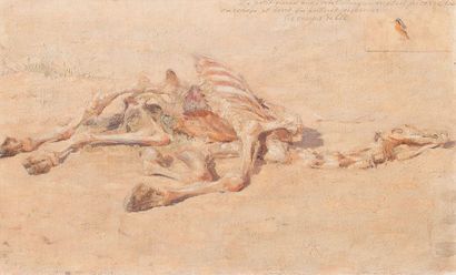 MARIUS PERRET (1853-1900) Dromadaire dévoré par les chacals Huile sur panneau Inscription...
