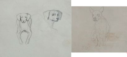 null Jules DIDIER (1831-1892) - Chien assis Crayon. Monogrammé en bas à gauche. 11,5...