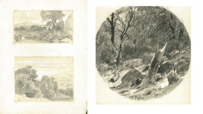 Jules DIDIER (1831-1892) - Forêt rocheuse...
