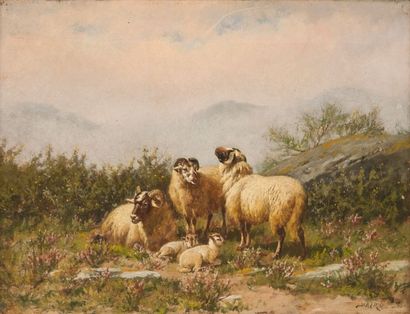 null Baird John Baptiste (1847- 1899) : « Moutons », Huile sur toile signée 

27x35...