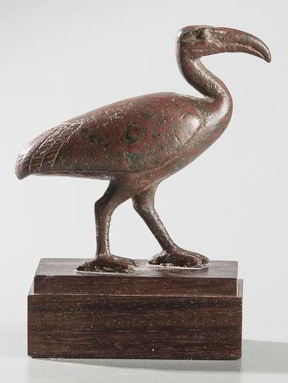 null Ibis debout Egypte, Basse Epoque (664 - 332 av. J.-C.) L ?animal renvoyant au...