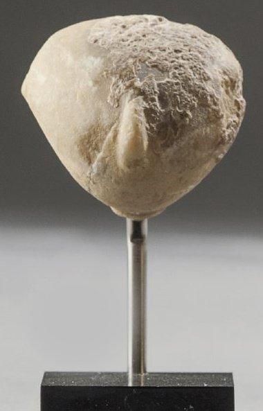null Tête d?idole Kylia. Anatolie, Art cycladique, Bronze Ancien I, Circa 3200 -...