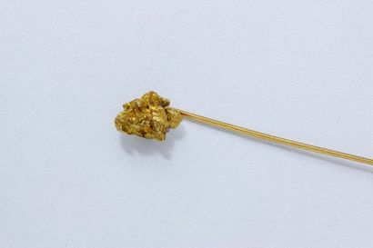 null Epingle de cravate en or, ornée d'une pépite d'or. Poids: 4.50 g.