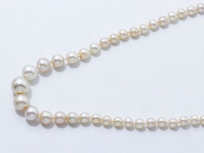 null Collier perles fines certificat lfg fermoir Poids brut: 17.70 g. Long: