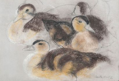 null Camille ROCHE (1894-1948)

Les canards

Pastel, signé en bas à droite

19 x...