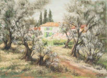 Félix TISOT (1909-1979) Bastide derrière les oliviers - Huile sur toile, signée en...