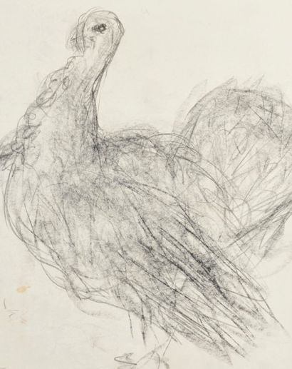 Jean AUREL (1907-1982) Dindon, crayon gras. 45 x 36 cm