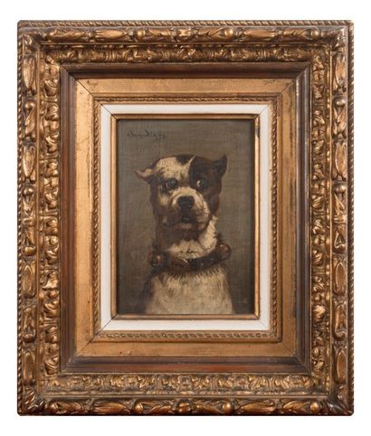 Jules CHARDIGNY (1842-1892) Jules CHARDIGNY (1842-1892). Le chien Tom. Huile sur...