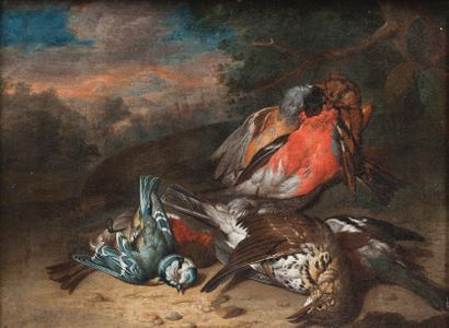 Ecole FRANCAISE du XVIIIe siècle Nature morte aux oiseaux Toile. 34 x 44 cm Ecole...