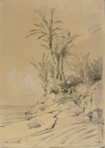Arthur Calame (1843-1919) Paysage côtier

Fusain et craie blanche, signé en bas à...