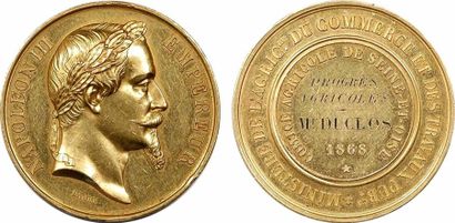 null Second Empire, médaille d'or, Comice Agricole de Seine-et-Oise, 1868 Paris A/NAPOLEON...