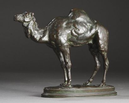 null Antoine Louis BARYE (1795-1875). Dromadaire d’Algérie. Sujet en bronze à patine...