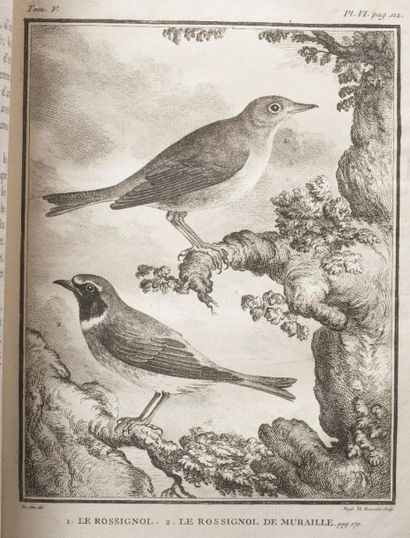 null BUFFON. Histoire naturelle des oiseaux. Paris, Imprimerie royale, 1770-1783....
