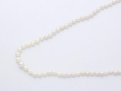 null Collier composé d'une chute de perles de culture d'environ 5.6 à 8.7 mm, agrémenté...