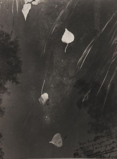ALBIN GUILLOT Albin GUILLOT
Epreuve au gélatino-bromure
29,5 cm X 22 cm