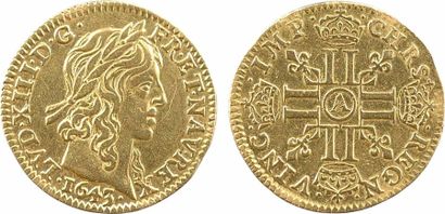 null Louis XIII, demi-louis d'or à la mèche longue, avec baies, 1641 Paris - A/LVD....