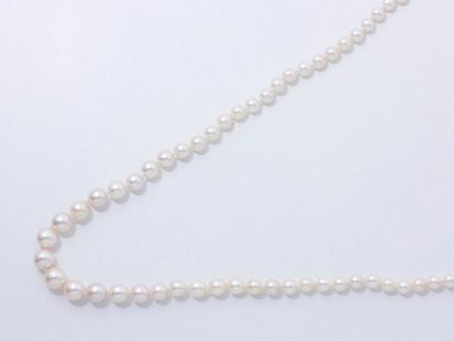 null Collier composé d'une chute de perles de culture d'environ 5.2 à 8.8 mm, agrémenté...