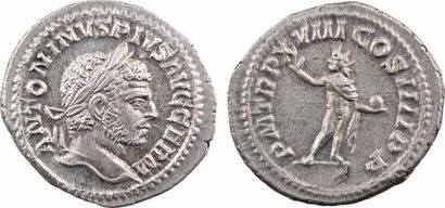 null Caracalla, denier, Rome, 216

A/ANTONINVS PIVS AVG GERM

Tête laurée à droite

R/P...