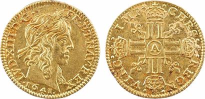 null Louis XIII, demi-louis d'or à la mèche longue, avec baies, 1641 Paris

A/LVD....