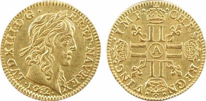null Louis XIII, demi-louis d'or à la mèche longue, sans baies, 1642 Paris

A/LVD....