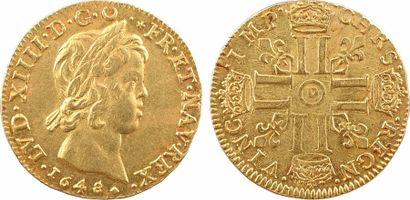 null Louis XIV, double louis d'or à la mèche courte, 1648/4 Lyon

A/LVD. XIIII. D....