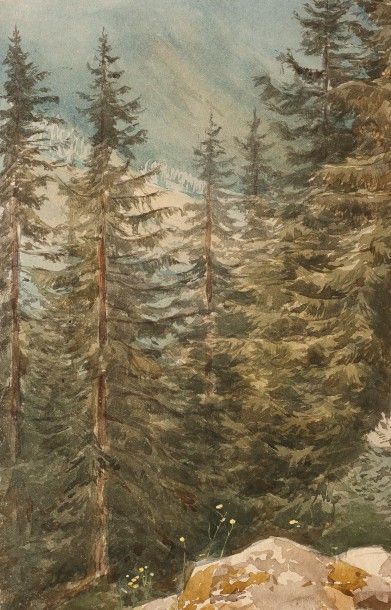 null A.M.WAY (Active au XIXe siècle)

Paysage suisse

Aquarelle.

29,5 x 19 cm

