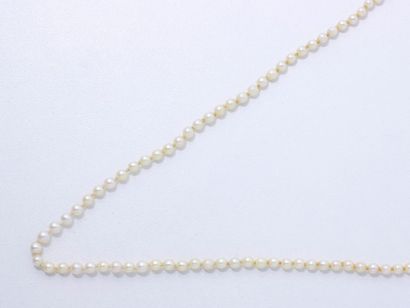 null Collier composé d'un rang de perles de culture d'environ 3.1 à 4.1 mm, agrémenté...