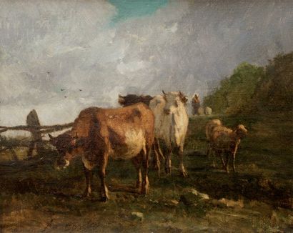 Antonio CORTÈS (1827-1908) Vaches au pré toile. signé en bas à gauche. (restaurations...
