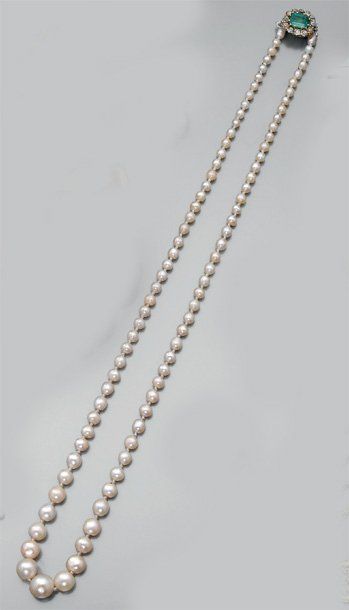 null Collier composé d'une chute de perles probablement fines d'environ 8 à 3,3 mm,...